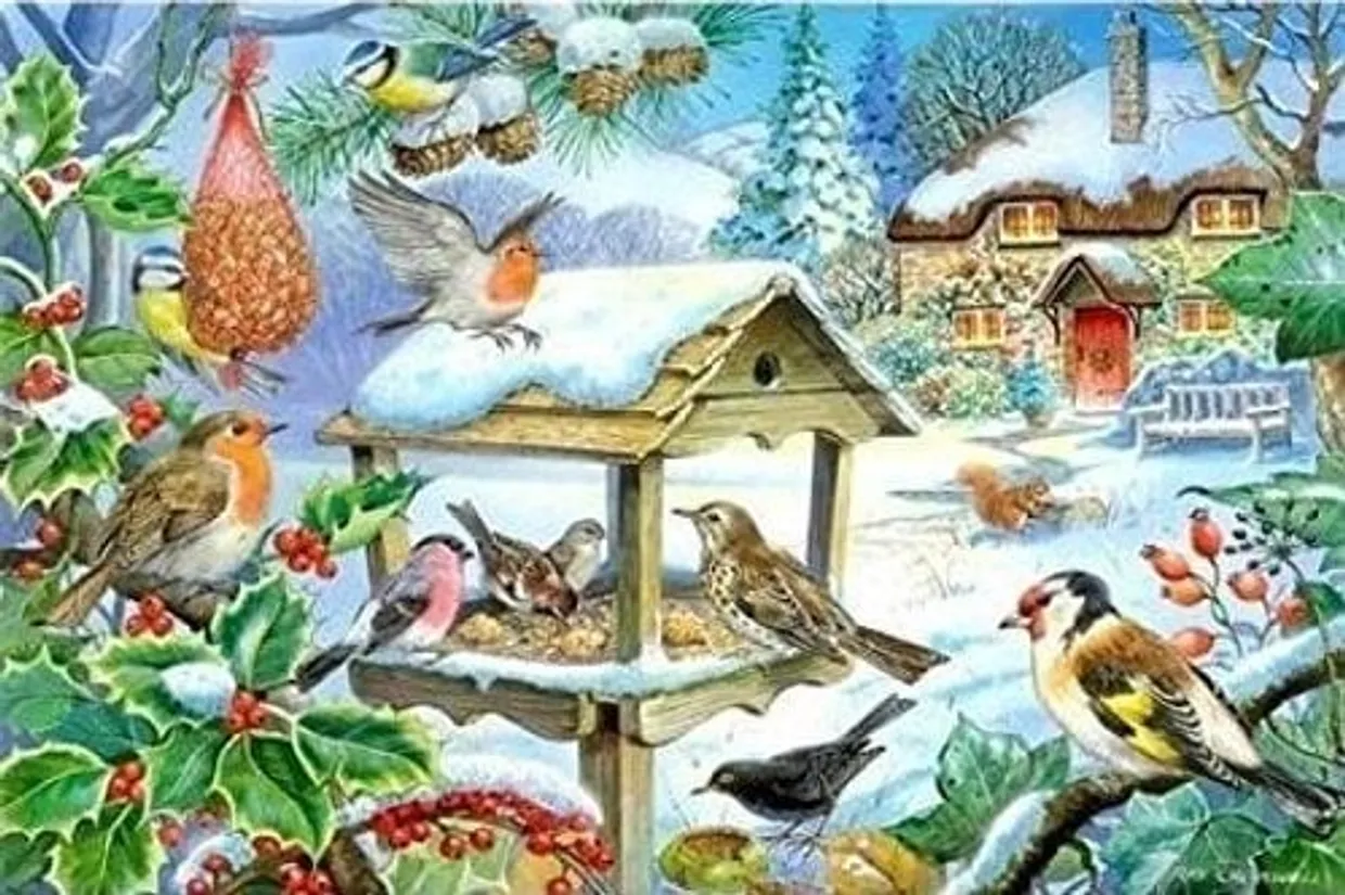 Puzzel - Feed the birds (250XL)