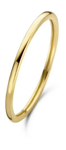 Asterope 14 Karaat Gouden Ring IB330017-56 (Maat: 56)