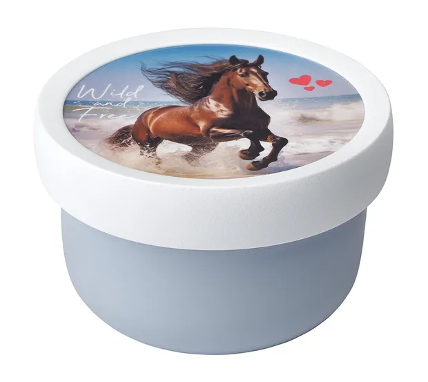 Fruitbox 300 ml  - Wild Horse