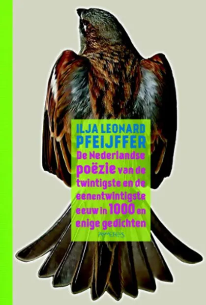Ilja Leonard Pfeijffer - De Nederlandse poëzie van de twintigste en de eenentwintigste eeuw in 1000 en enige gedichten
