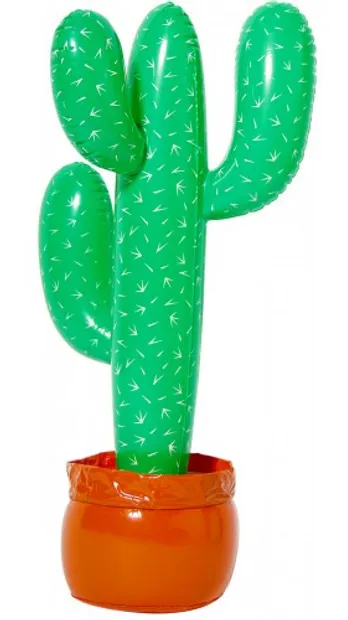 Opblaasbare cactus