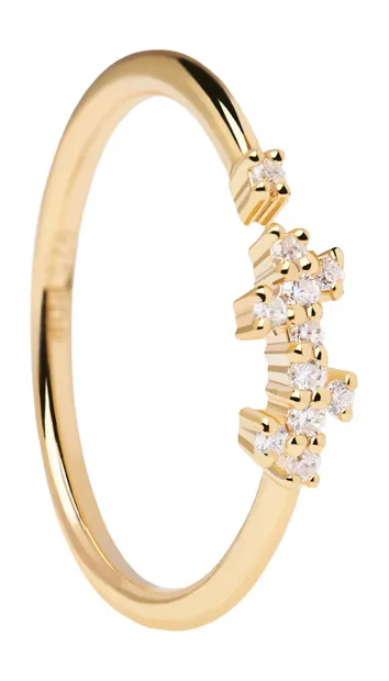 The New Essentials Prince Gouden Ring AN01-672-14