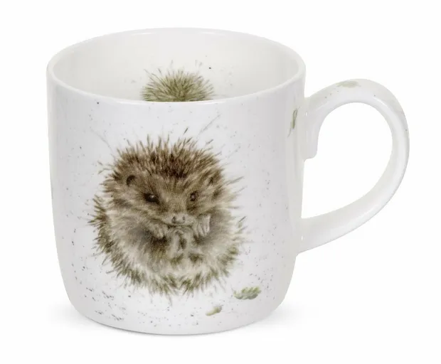 Mug Awakening Hedgehog divers