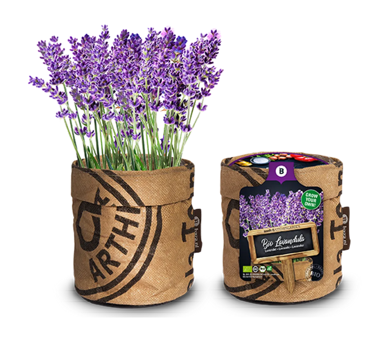 Seeds & Kitchen Garden - Bio Lavendel