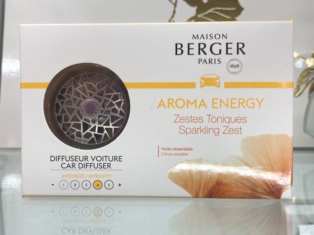 Car Diffuser Set Aroma Energy