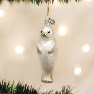 Seal Pup