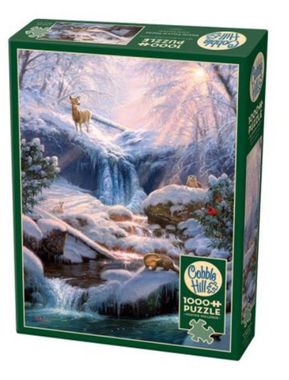 Puzzel - Mystic Falls in Winter (1000)
