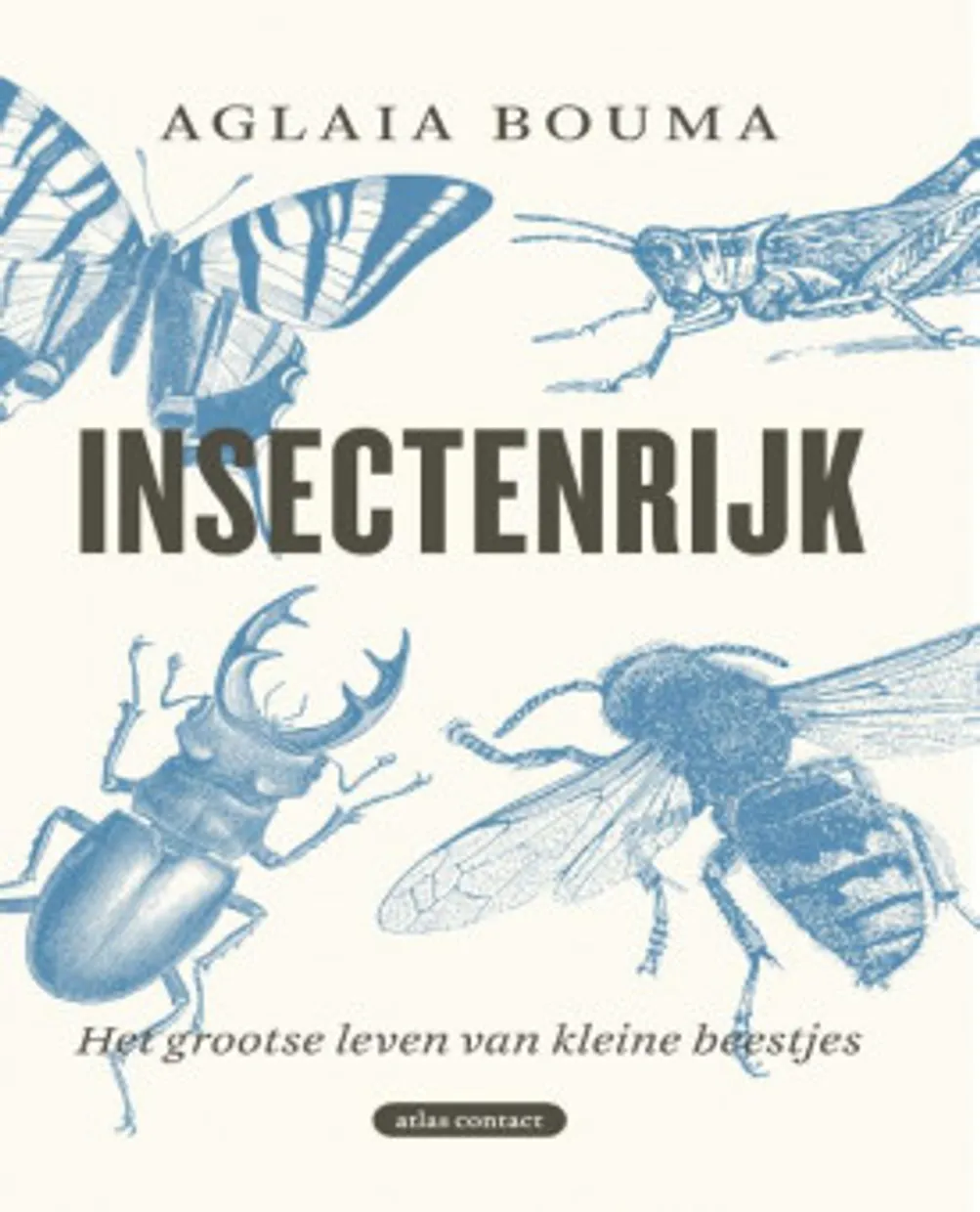 Aglaia Bouma - Insectenrijk