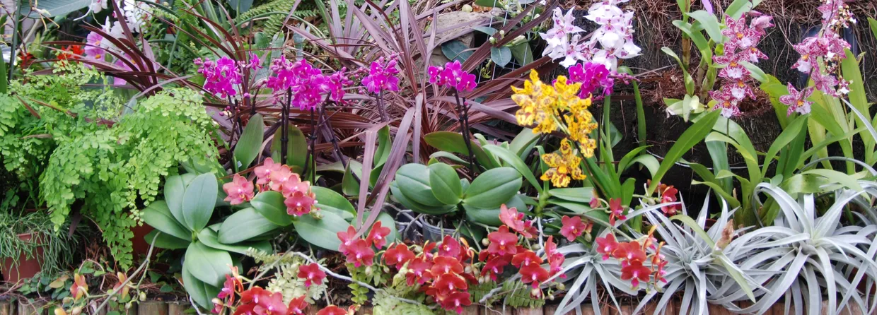 Reinhart Orchideeën, Exterior