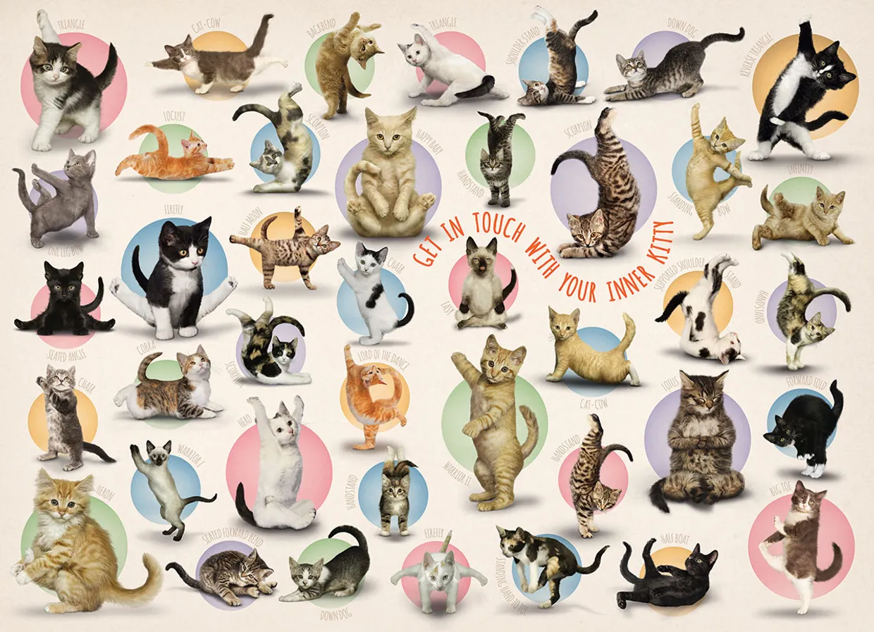 Puzzel - Yoga Kittens (500 XXL)