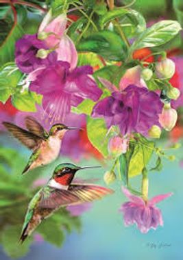 Puzzel: Hummingbirds (1000)