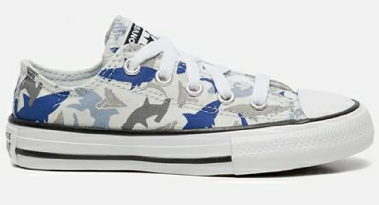 Converse Chuck Taylor All Star OX sneakers blauw