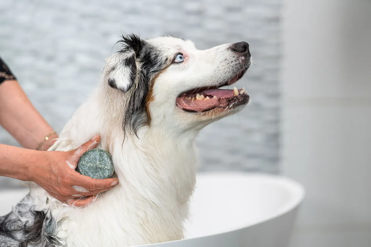 Honden Shampoo Bar Universeel