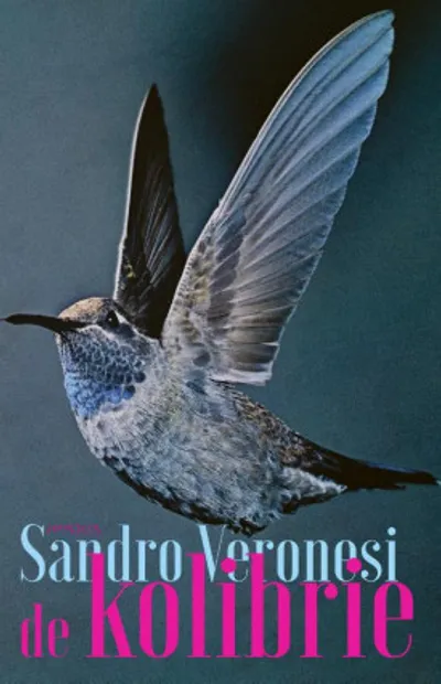 Sandro Veronesi - De kolibri