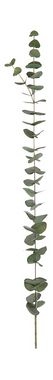 Eucalyptus 110cm grijsgroen kunst/imitatie planten