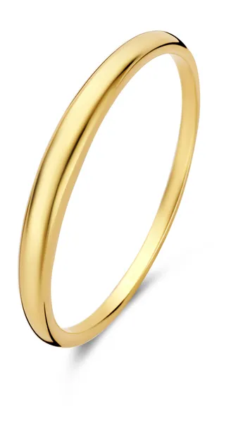 Rivoli Maryn 14 Karaat Gouden Ring IB330099-50