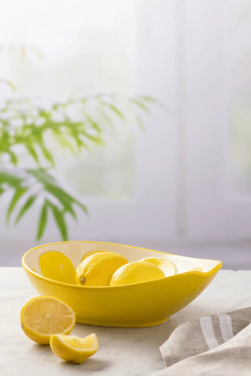 Kom ovaal citroen 22 cm - World Foods