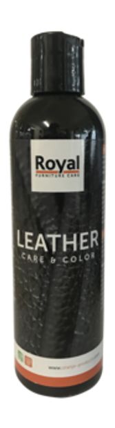 Leather care & color