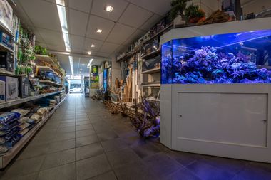 Robert Knops Vijver en Aquarium