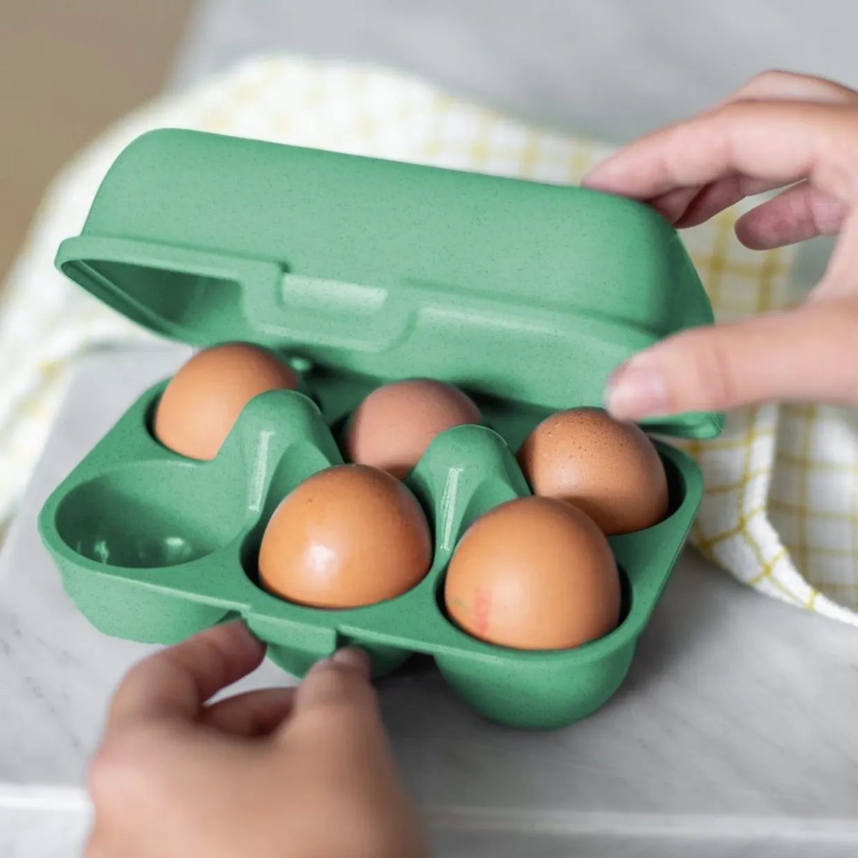 Eierdoosje voor 6 eieren
