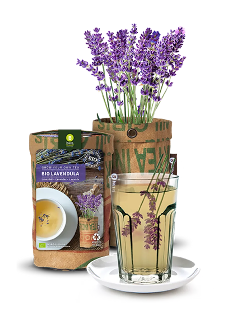 Seeds & Tea Garden - Bio Lavendel