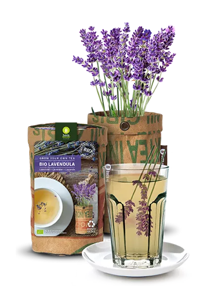 Seeds & Tea Garden - Bio Lavendel