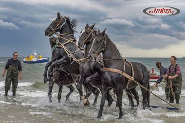 Workshop fotografie AMELAND (9-11 sep en 18-20 okt 2022)