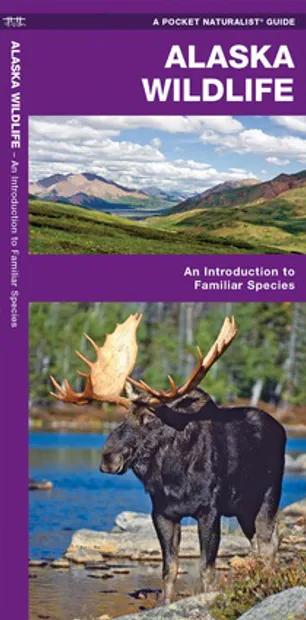 Vogelgids - Natuurgids Alaska Wildlife An introduction to familiar spe