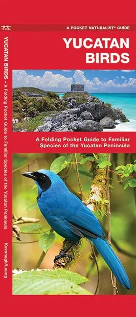 Vogelgids Yucatan Birds - Mexico | Waterford Press
