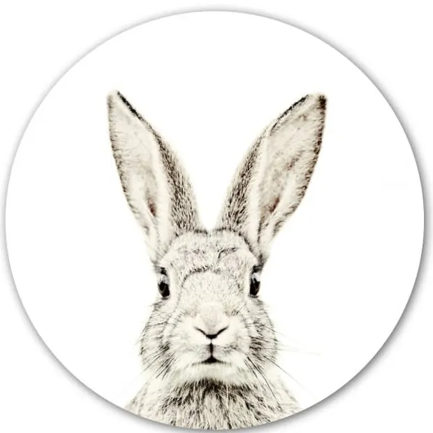 Magnetic Sticker - Rabbit