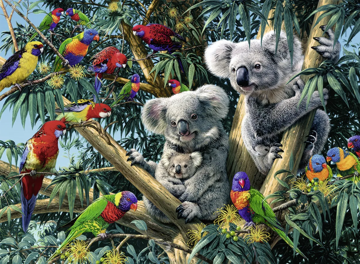 Puzzel - Koala's in de Boom (500)
