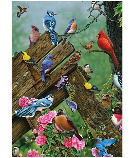 Puzzel: Wildbird Gathering (35)