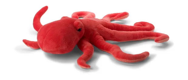 octopus 50 cm