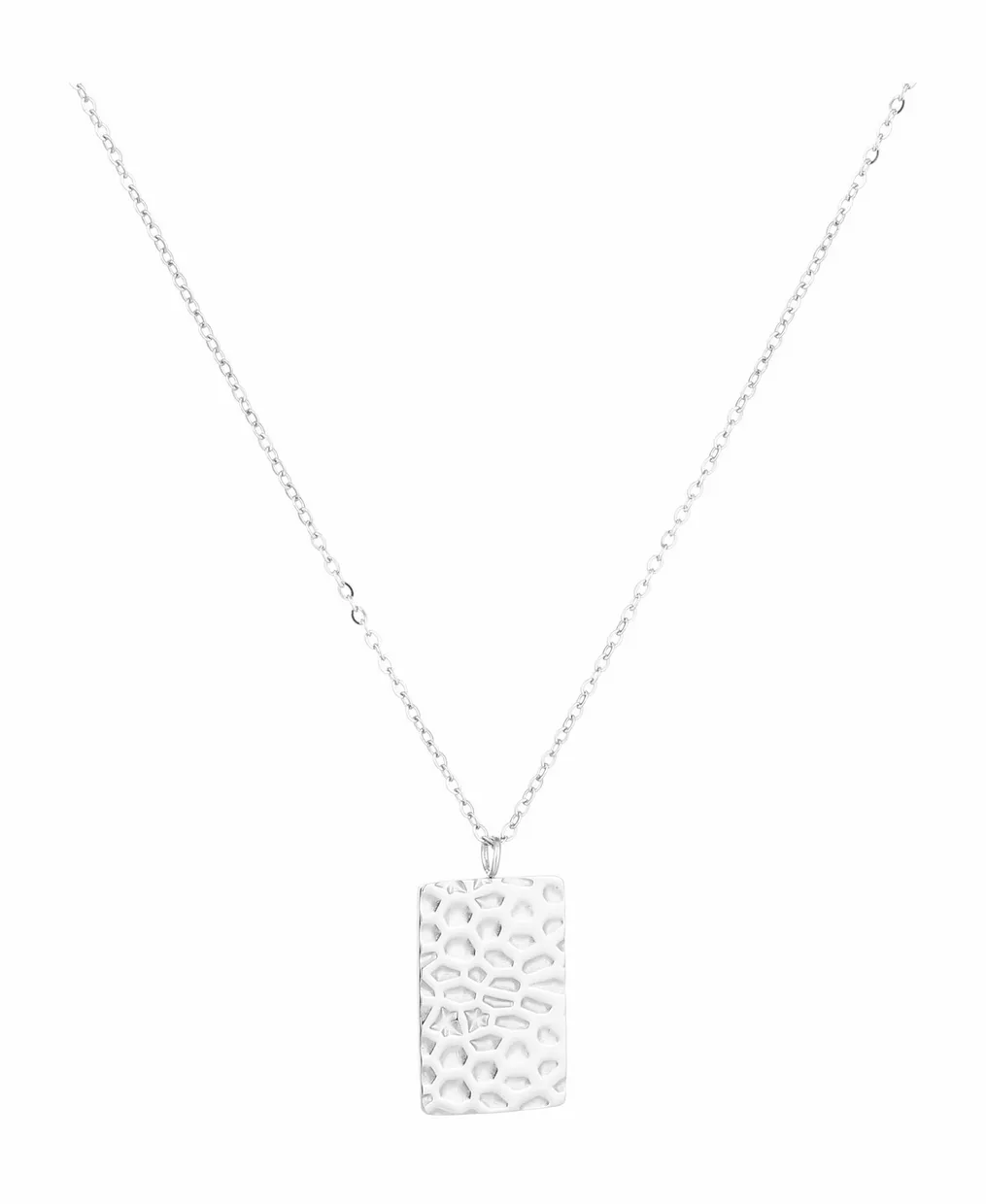 Leo plate necklace silver