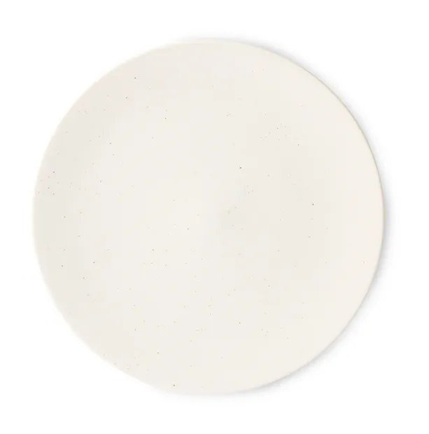 Kyoto ceramics: japanese large dinner plate white speckled