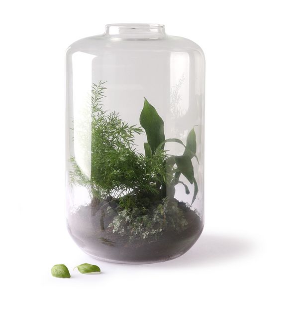 Mini garden vase