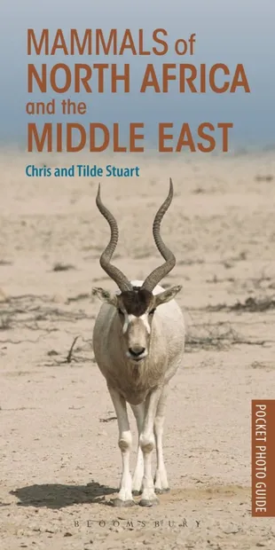 Natuurgids Pocket Photo Guide Mammals of North Africa and the Middle E