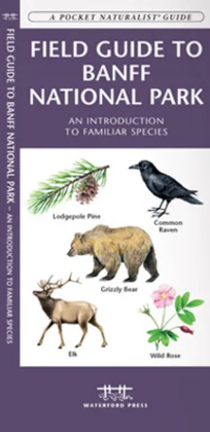 Vogelgids - Natuurgids Field guide to Banff National Park Wildlife | W
