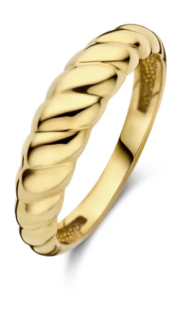Aidee Elodie 14 Karaat Gouden Ring IB330081-50
