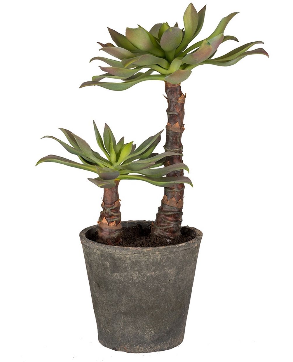Echeveria Vetplant incl. Pot 55cm Groen imitatie/kunstplant