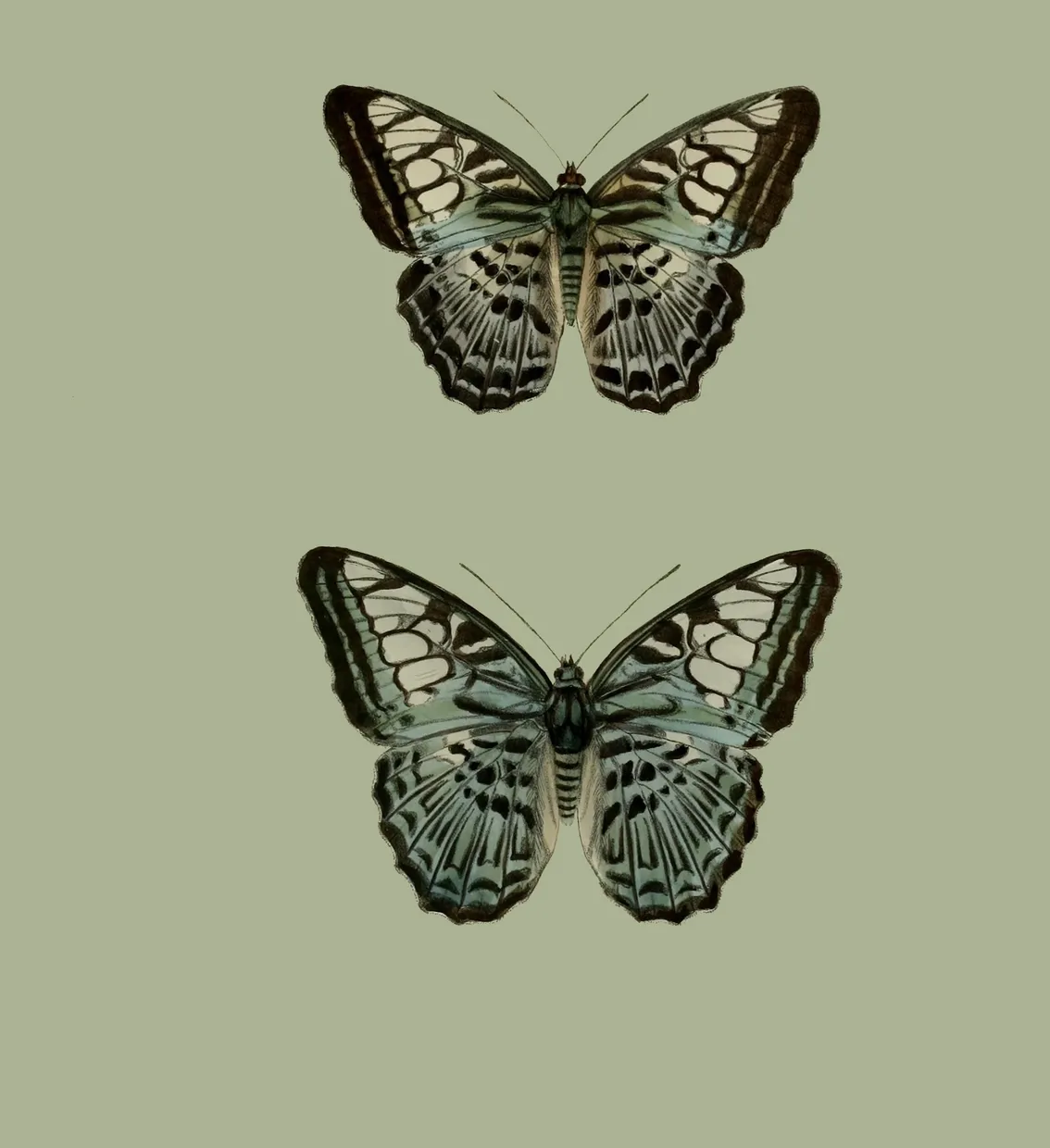 PSR035 Green pair of Butterflies
