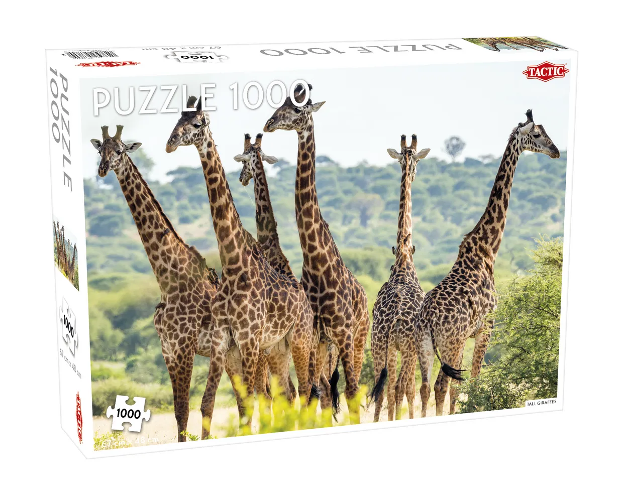 Animals: Tall Giraffes - 1000 stukjes