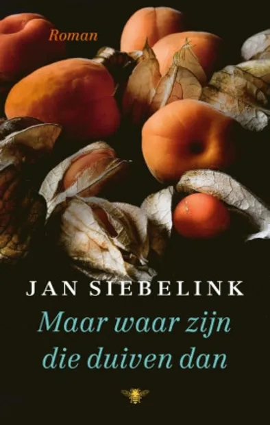 Jan Siebelink - Maar waar zijn die duiven dan