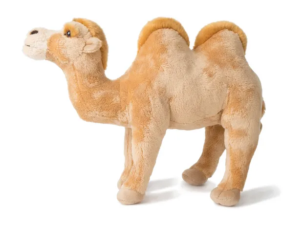 kameel 29 cm