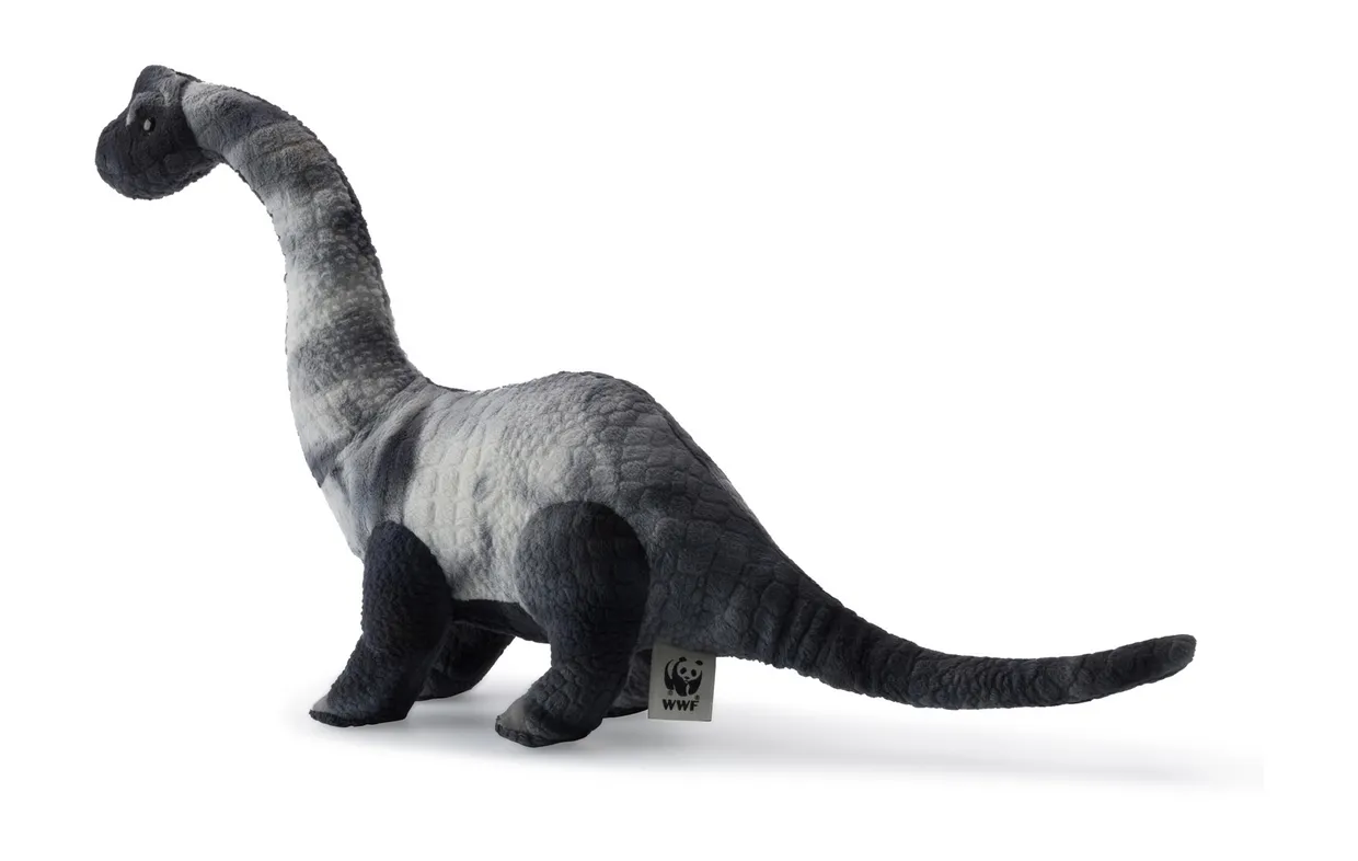 brachiosaurus 53 cm