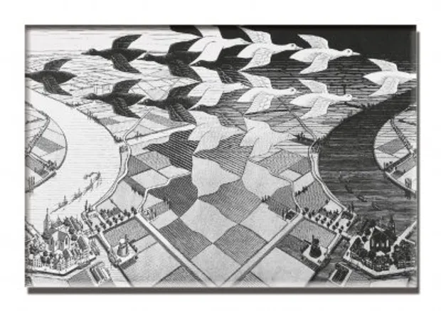 Puzzel: Escher Day and Night (1000)