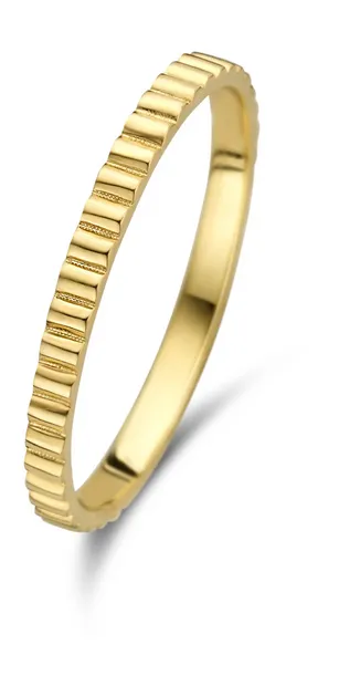 Rivoli L'Abbaye 14 karaat gouden ring IB330005-48