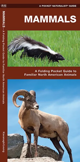 Natuurgids Mammals : An Introduction to Familiar North American Specie
