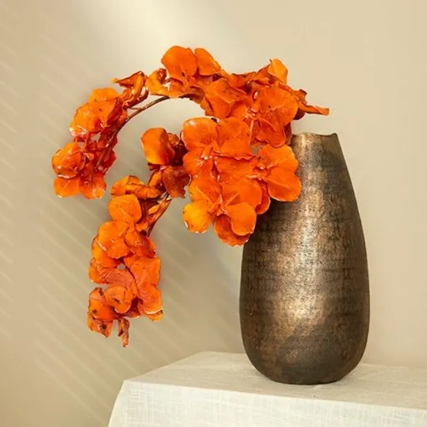 Orchidee Oranje