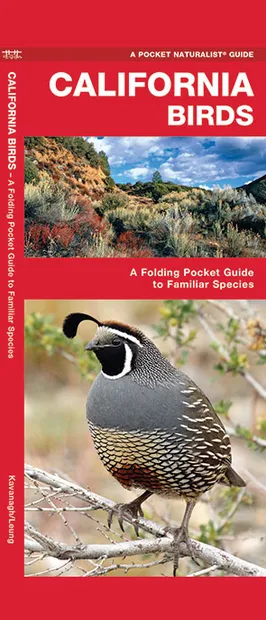Vogelgids California Birds | Waterford Press